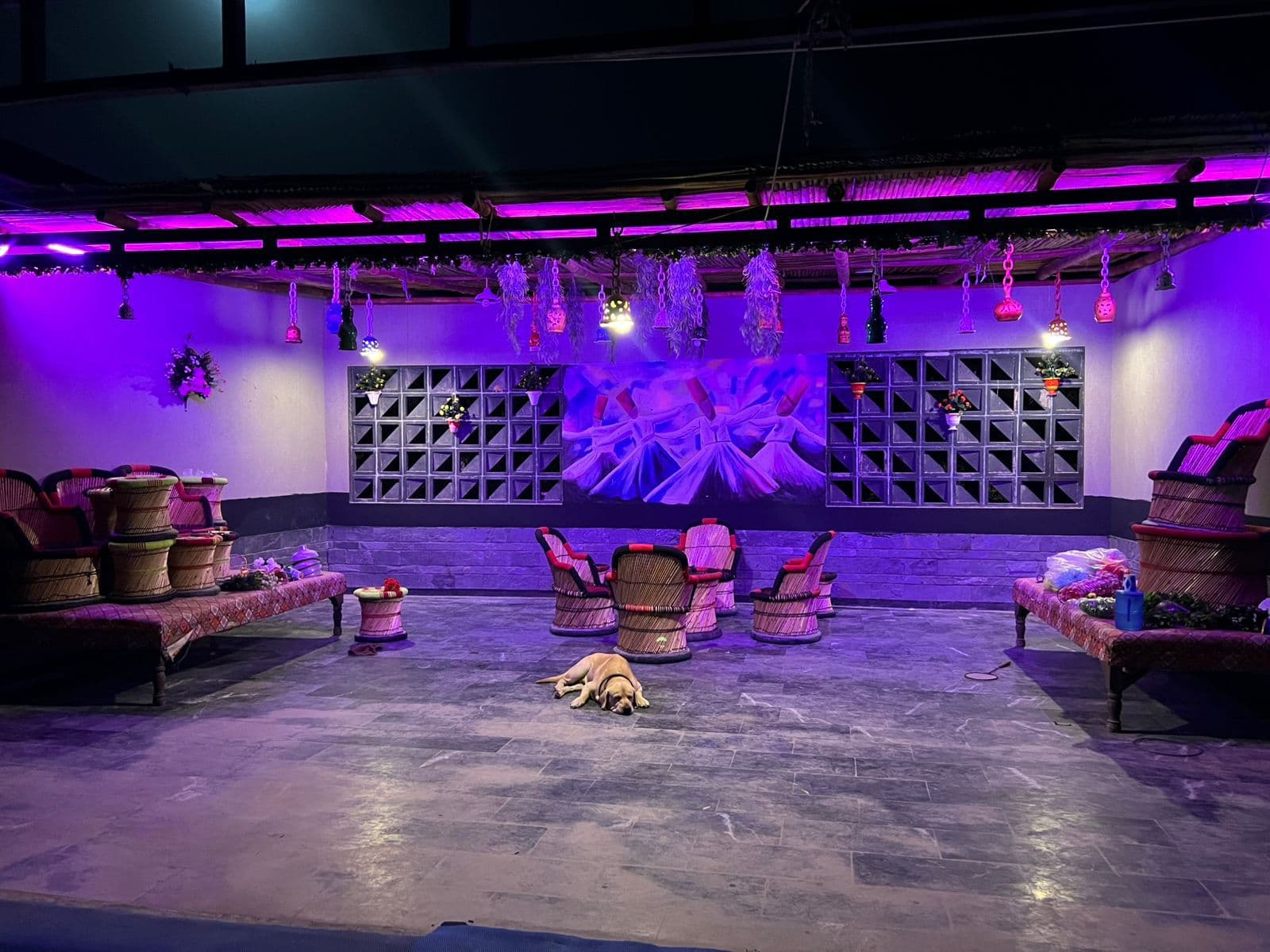 Pergola outdoor sitting area with Sufi wall painting & purple ambient lights