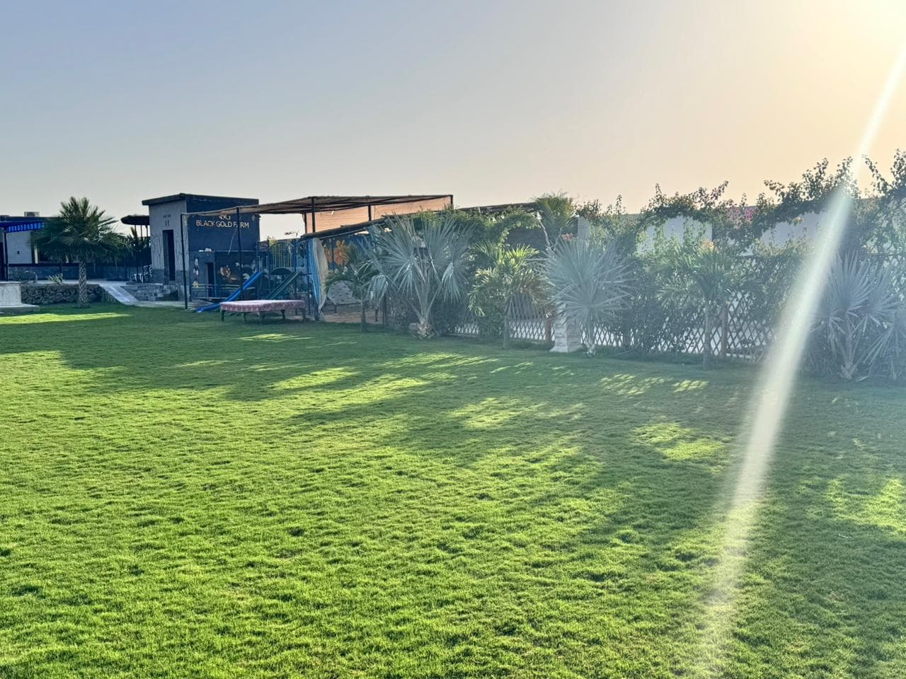 Black Gold Farmhouse estate lawn at golden hour